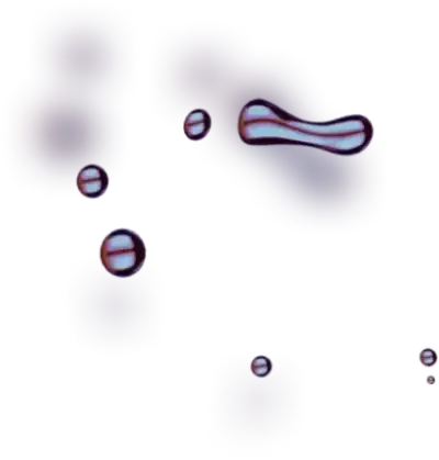 Btc Evex - Unlock Maximum Profit Potential with Gas Potential Seize Control of Your Trades Now