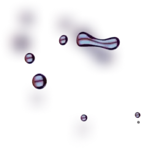 Btc Evex - Unlock Maximum Profit Potential with Gas Potential  Seize Control of Your Trades Now