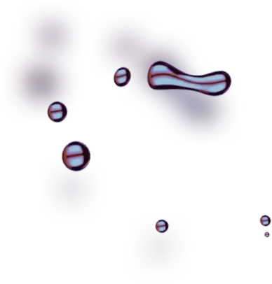 Btc Evex - Dévoiler les esprits exceptionnels derrière notre équipe performante